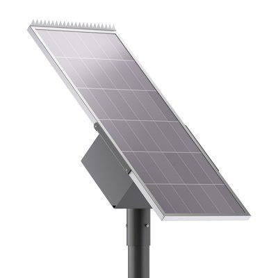 Pecan Solar Lighting 2