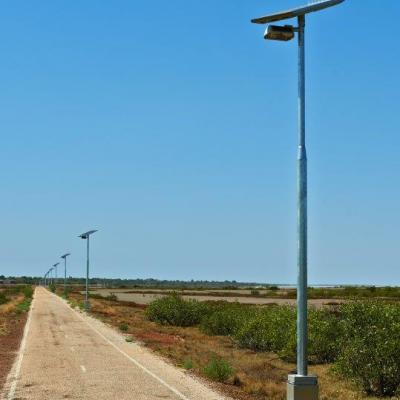 Pecan Solar Lighting 4