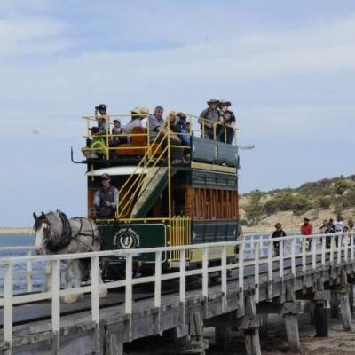 Granite Island Causeway Lighting 15